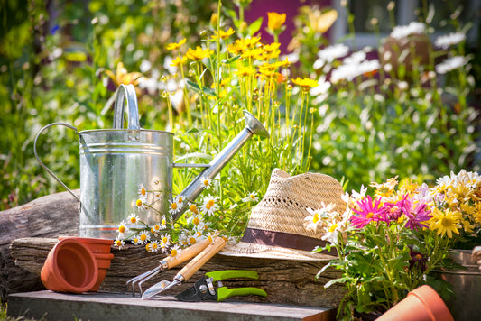 The Benefits Of A Summer Garden
