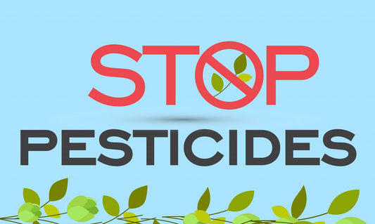 Why Using Chemicals In Your Garden Is A Bad Idea