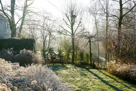 Veggie Recommendations For Winter Gardens
