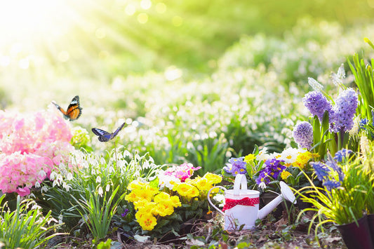 Veggie Recommendations For Spring