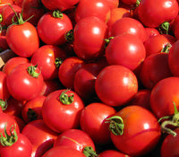 Farm.hand.seeds 42 day tomato