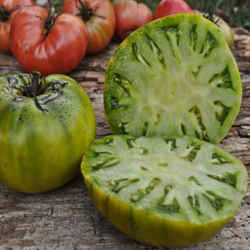 Farm Hand Seeds Cherokee green tomato
