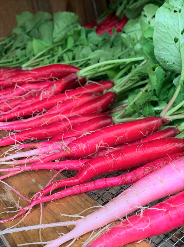 Farm.hand.seeds Fire candle radish