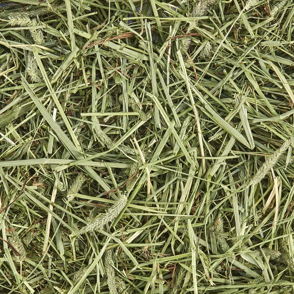 Farm.hand.seeds Timothy hay