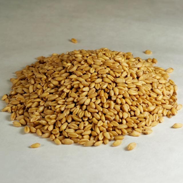 Farm.hand.seeds White soft wheat