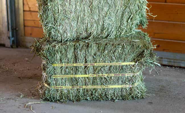 Farm.hand.seeds Timothy hay