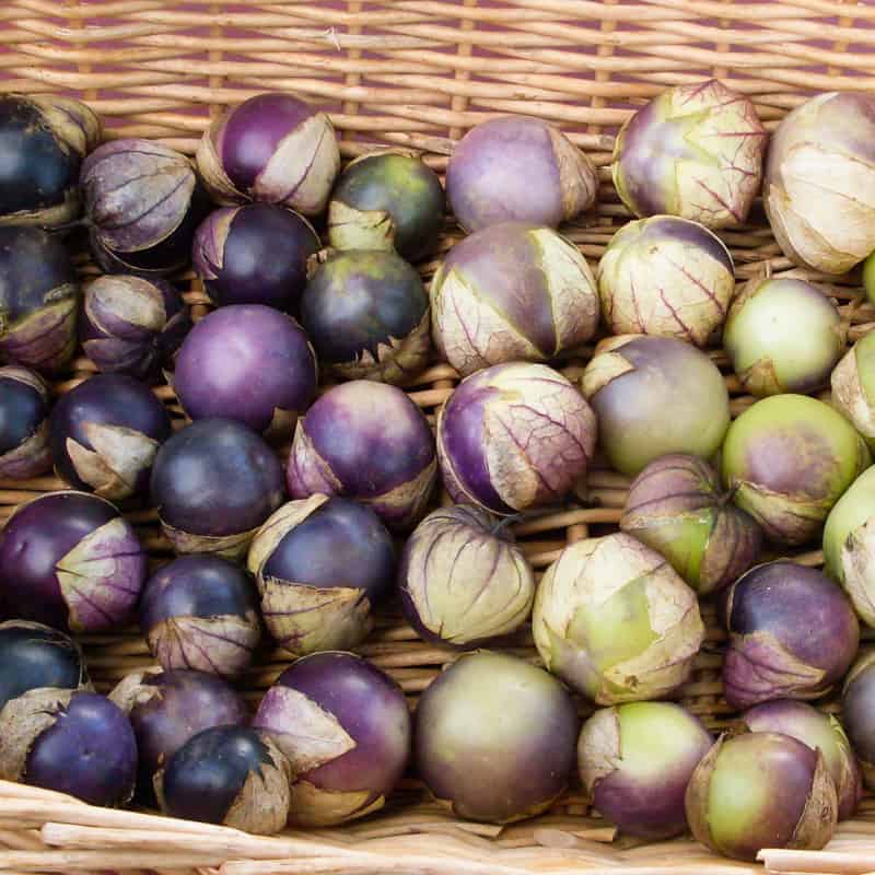 Farm.hand.seeds Really Purple Tomatillo