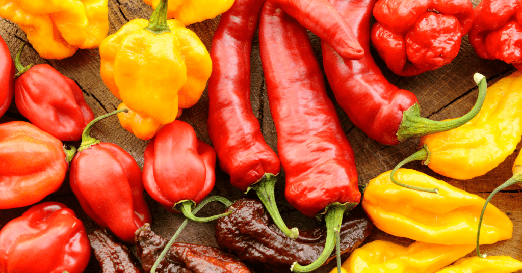 Farm.hand.seeds Sweet and spicy pepper mix