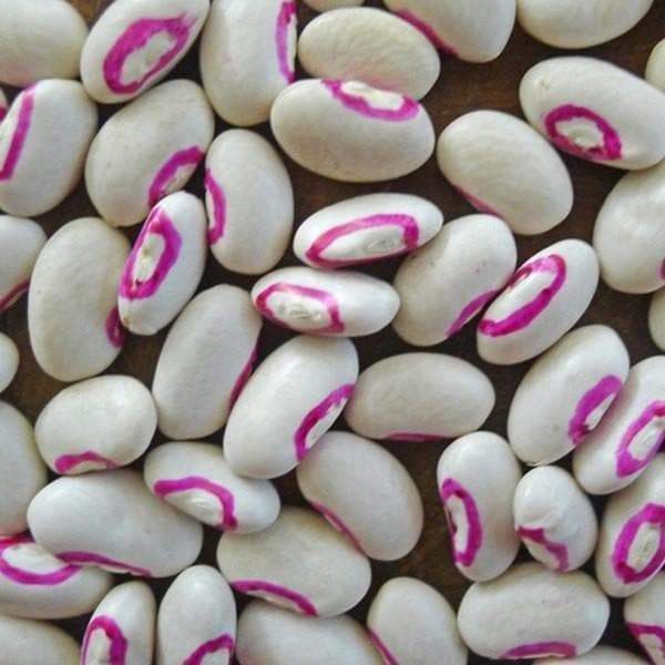 Farm.hand.seeds Missippi pinkeye southern peas