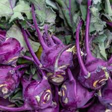Purple Vienna Heirloom Kohlrabi