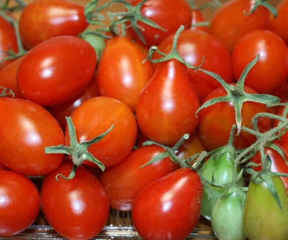 Red Pear Cluster Tomato