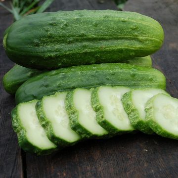 Carolina h1 cucumber seeds
