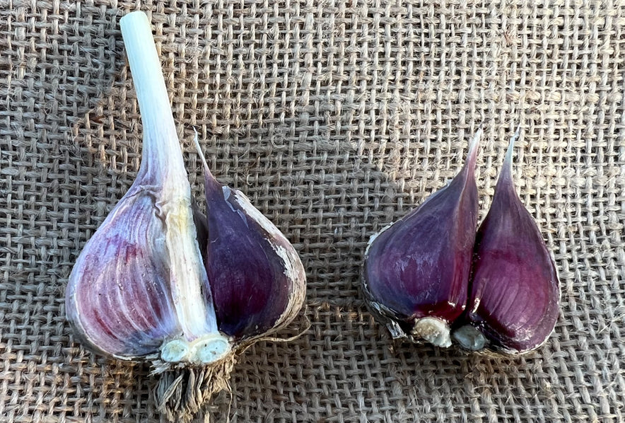 Thai purple garlic