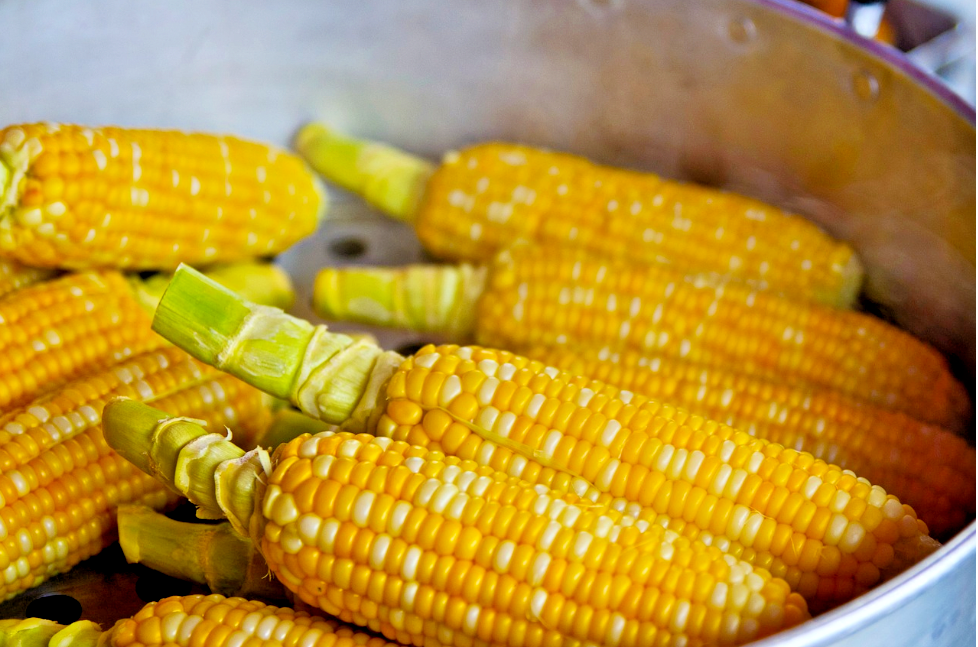 Luscious bicolor super sweet corn