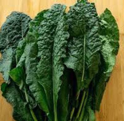 Lacinato Dino Kale