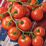 Independence Day Tomatoes