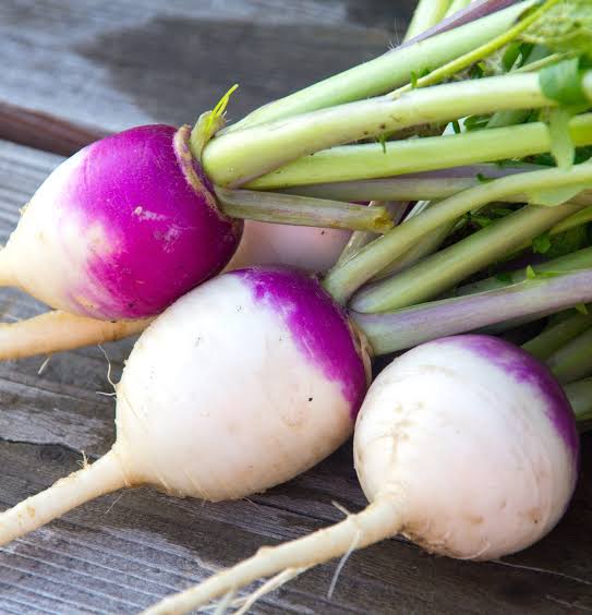 White Purple Top Turnip