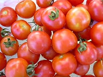 Heirloom Red Cherry Tomato