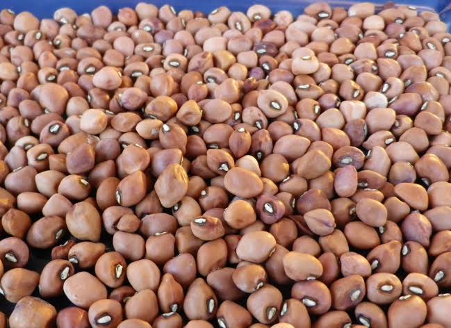 Mississippi Silver Pea