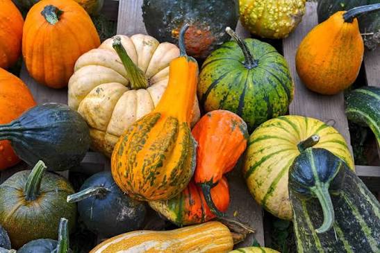Small gourds mix