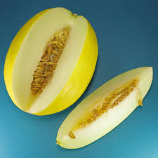 Heirloom Canary Yellow Melon