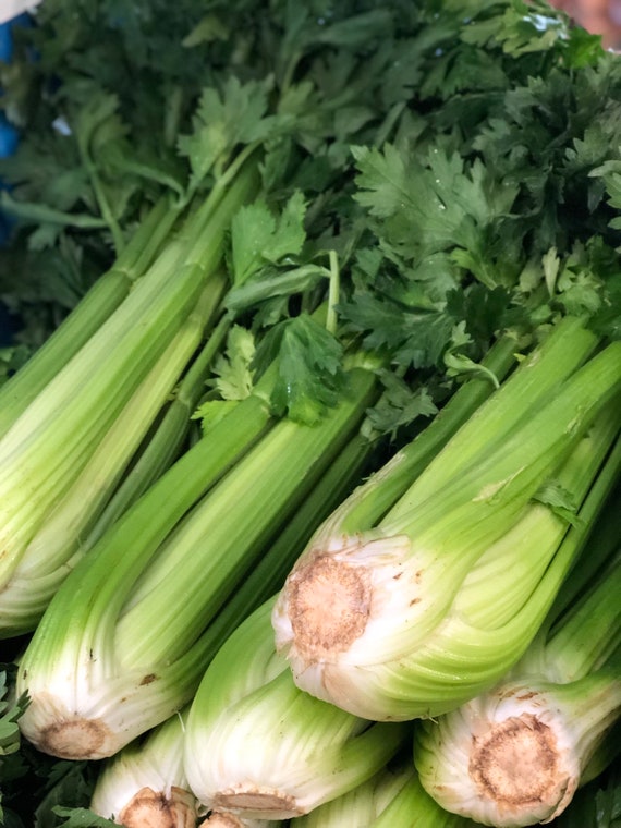 Tendercrisp celery