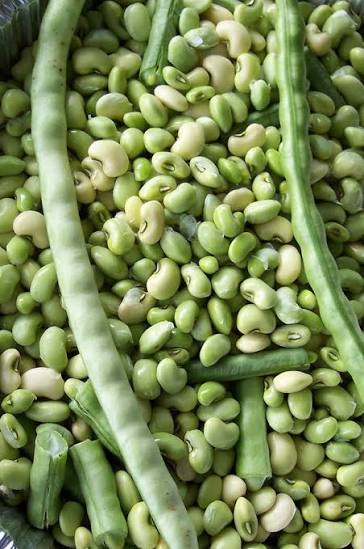 Texas Cream Zipper Peas
