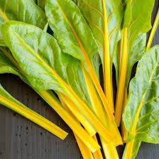 Yellow Sunrise Swiss Chard