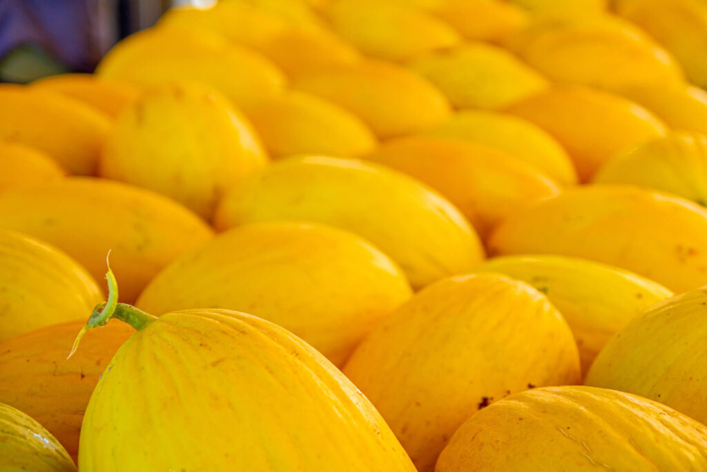 Heirloom Canary Yellow Melon