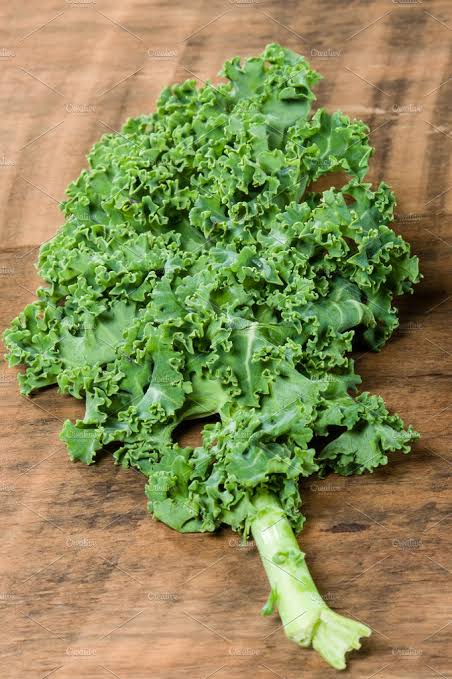 Green Curly Leaf Kale