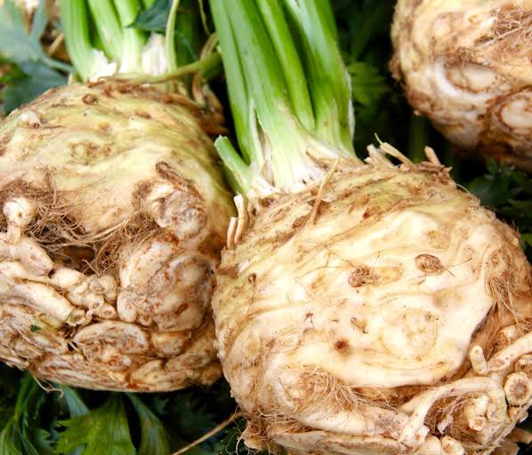 Celeriac Giant Prague