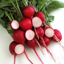 Crimson Red Radish