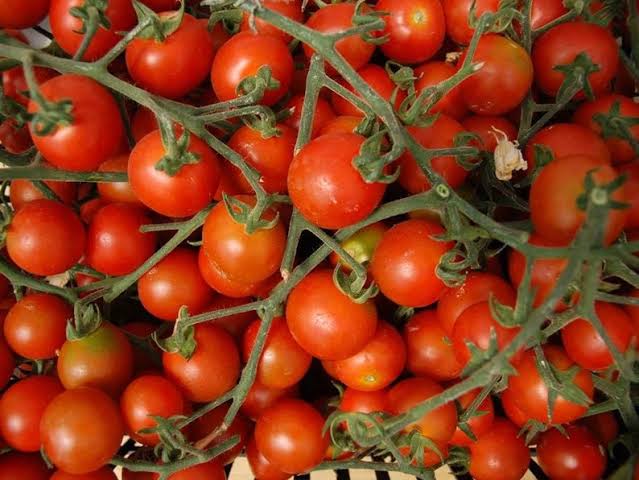 Heirloom Red Cherry Tomato
