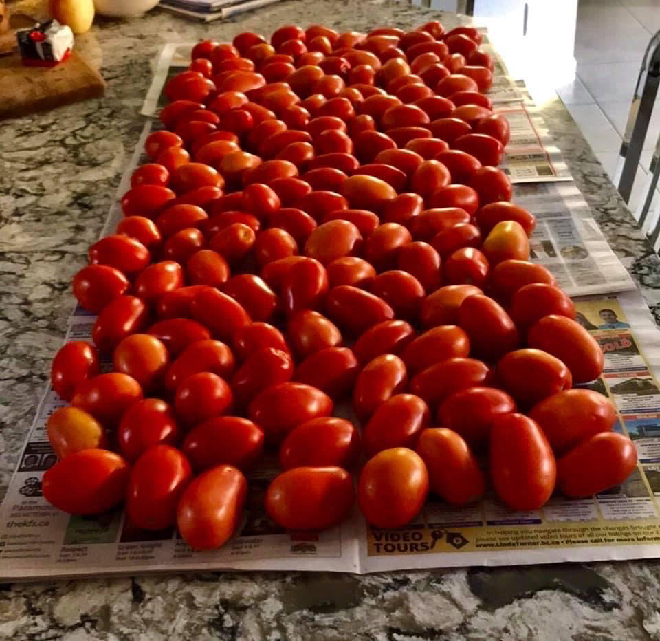 Farm Hand Seeds Italian roma tomato