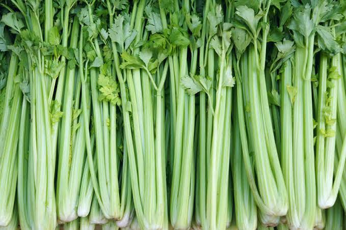 Tendercrisp celery