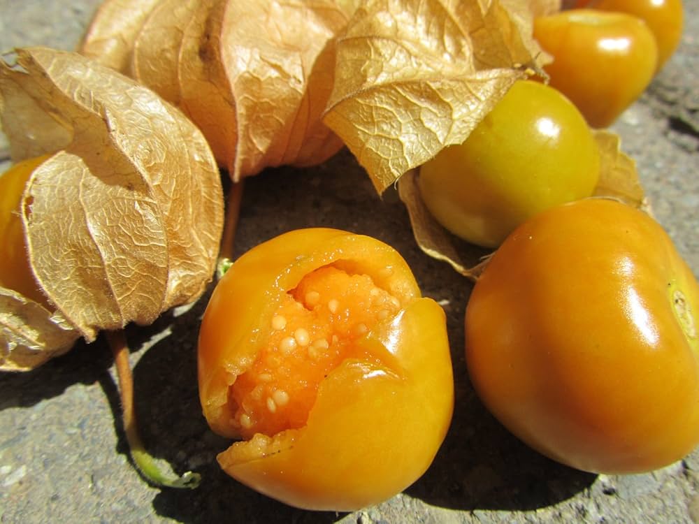 Pineapple Tomatillo