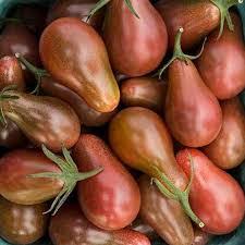 Chocolate pear tomato
