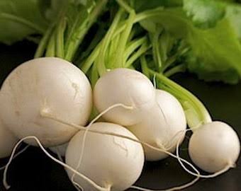 White Japanese Turnip