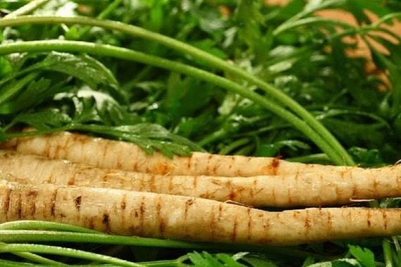 Harris Model Parsnip