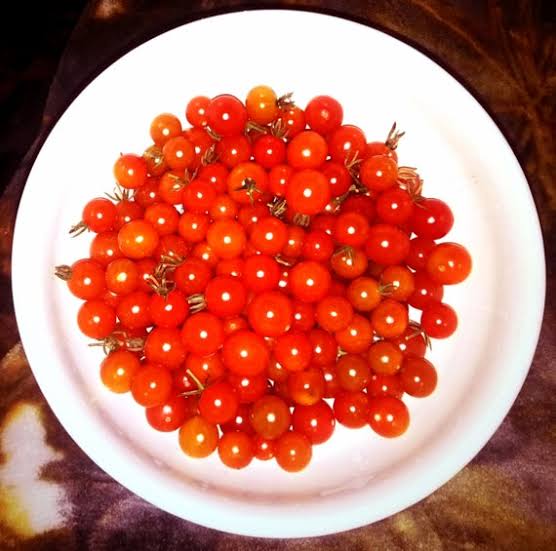 Currant sweet pea tomato