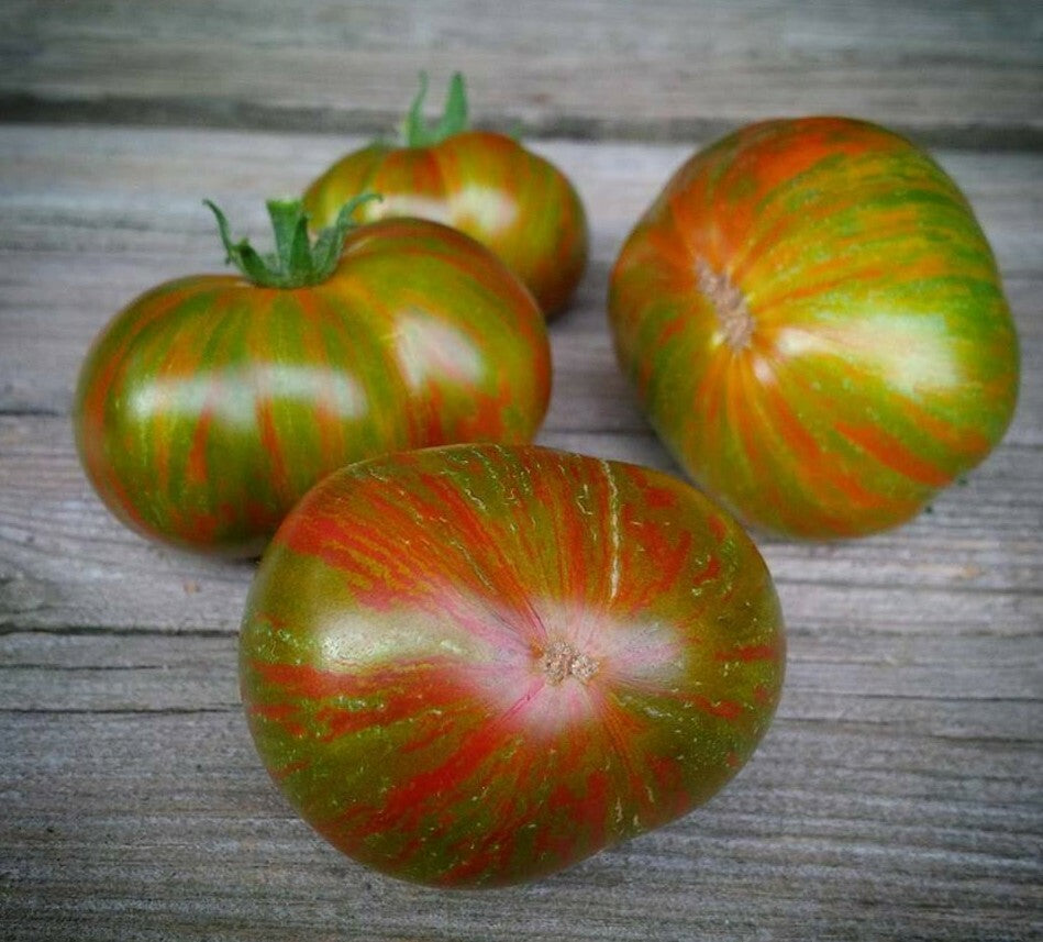 Berkeley Tie Die Tomato