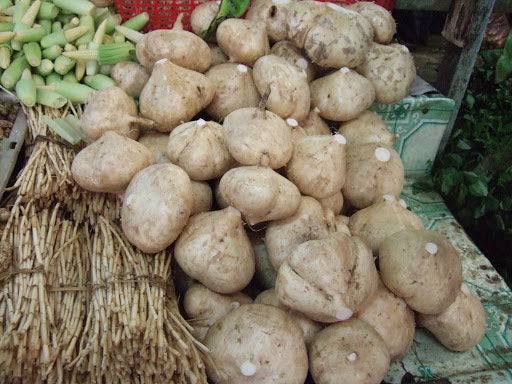 True Jicama