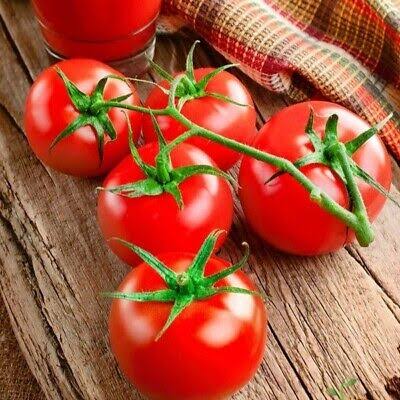 Floradade Heirloom Tomato