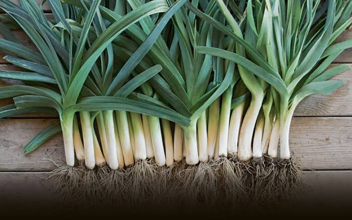 American Flag Leeks
