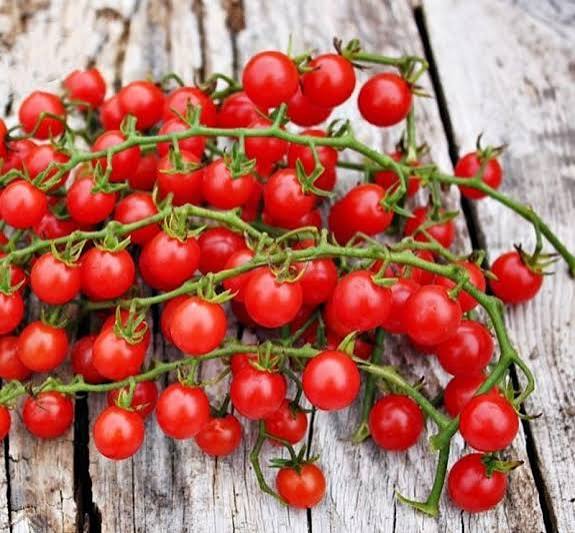 Currant sweet pea tomato