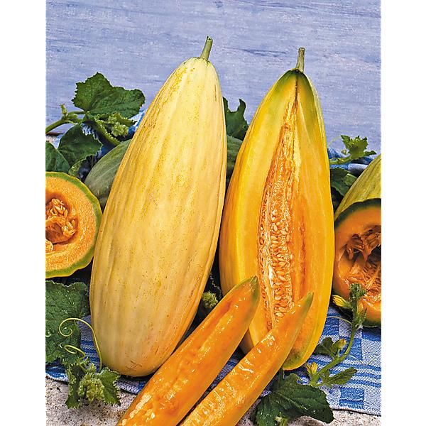 Farm Hand Seeds Banana Melon