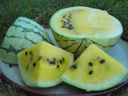 Farm Hand Seeds Early yellow moonbeam watermelon