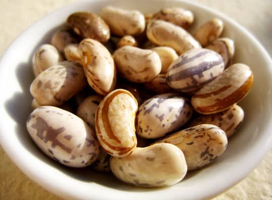 Kenearly yellow eye bean