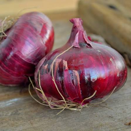Cipollini Red Onions