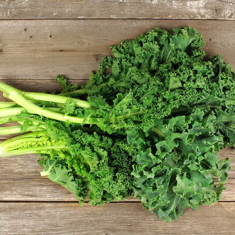 Siberian Dwarf Green Curled Kale